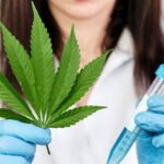 Cannabinoids