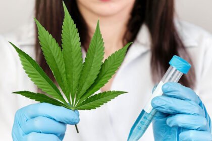 Cannabinoids
