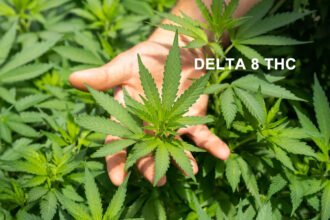 DELTA 8 THC