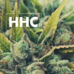 HHC