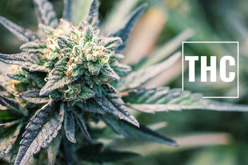 THC