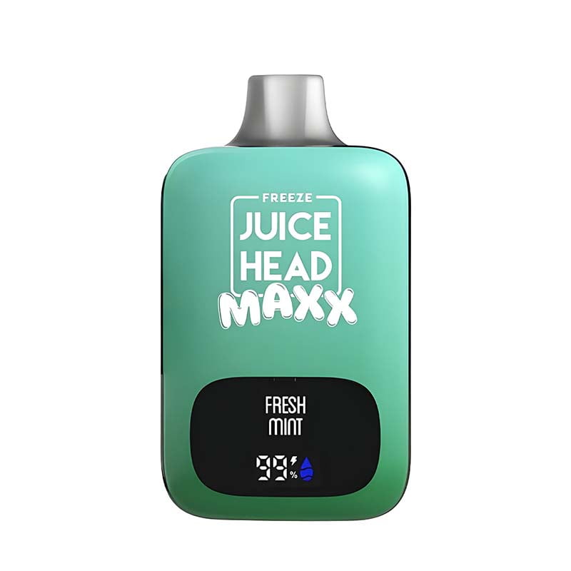 Juice Head Maxx 10000 Disposable Vape Fresh Mint
