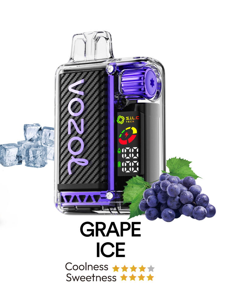 Vozol Vista 16000 flavors