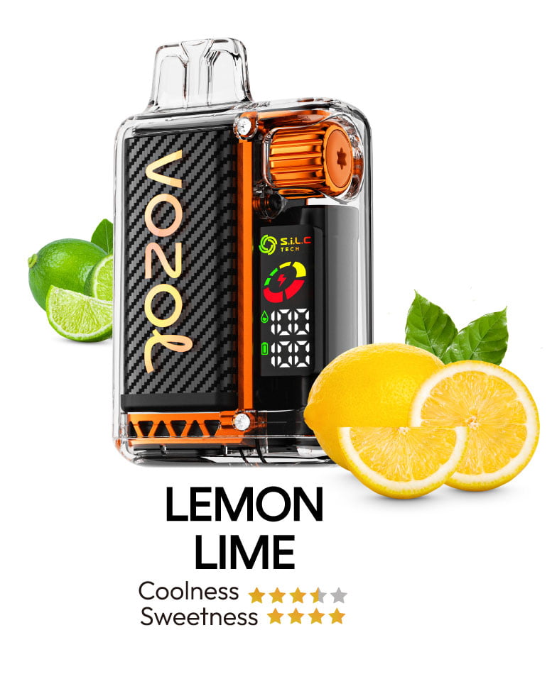 Vozol Vista 16000 flavors