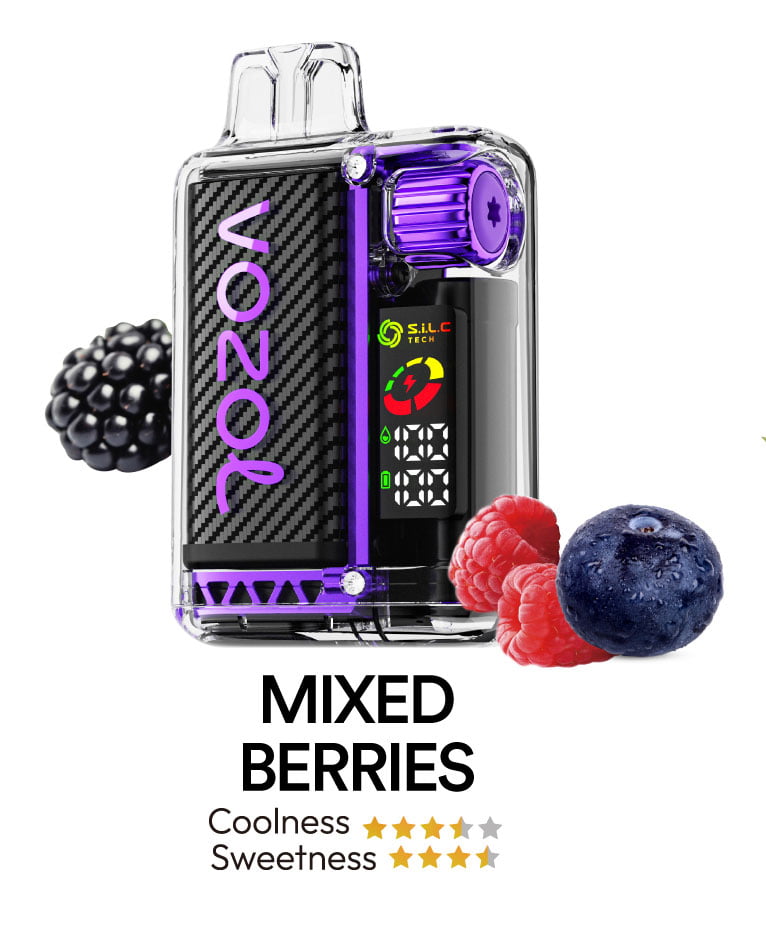 Vozol Vista 16000 flavors