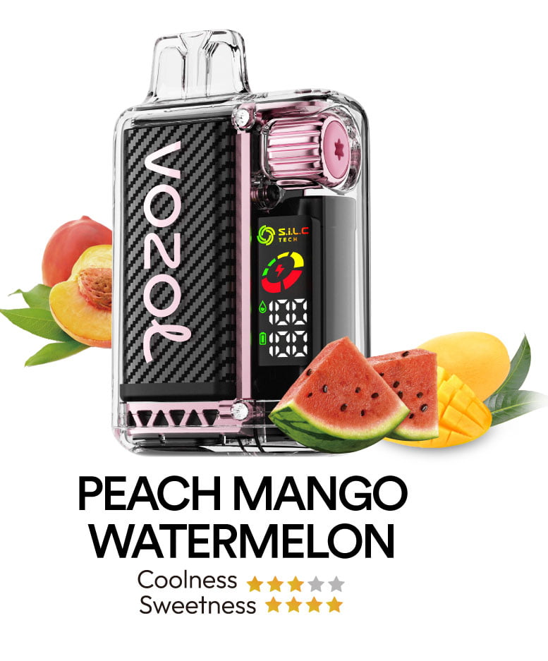 Vozol Vista 16000 flavors