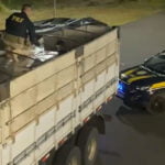Brazil uncovered the largest Vape smuggling case in 2024