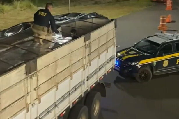 Brazil uncovered the largest Vape smuggling case in 2024