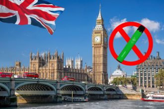 Bans Disposable Vape